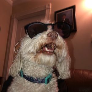 Meet your Posher, Astrid